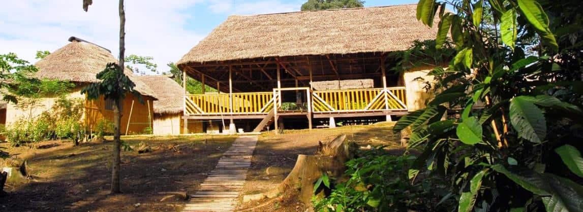 Amazon Dolphin Lodge - Amazon