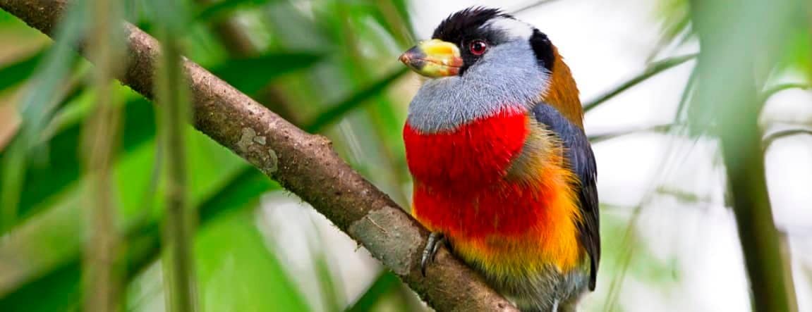 Sample Tour Image Birding