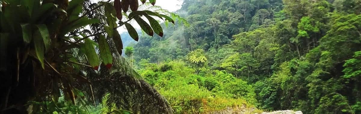 National Park Cofan Bermejo