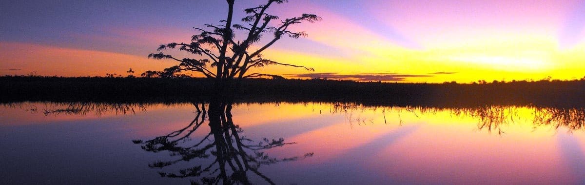 National Park Cuyabeno