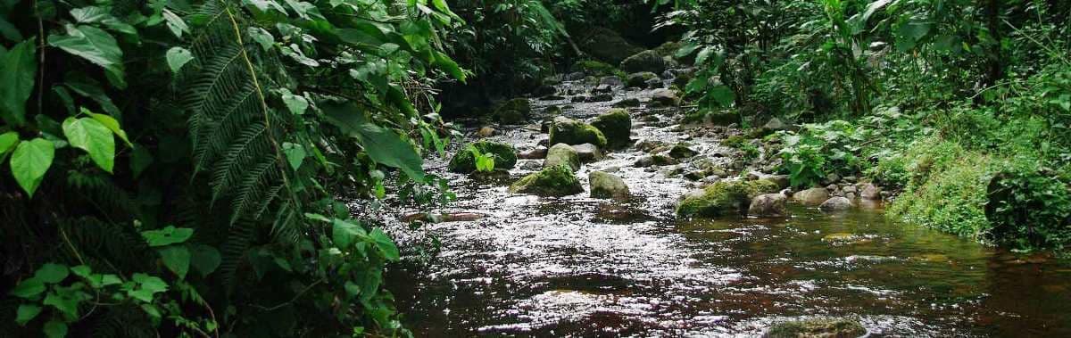 National Park El Quimi