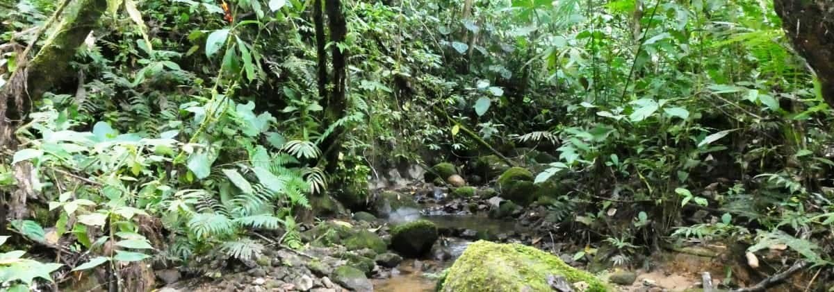 National Park El Zarza