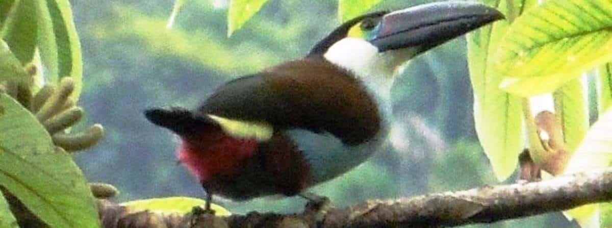 Sample Tours South of Ecuador