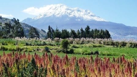 Sample Tours Image Chimborazo