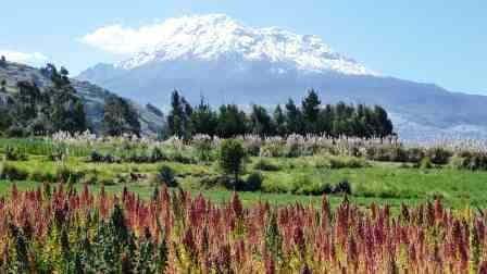 Sample Tours Image Climbing Chimborazo