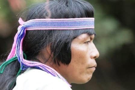 Sample Tours Image Amazon Low