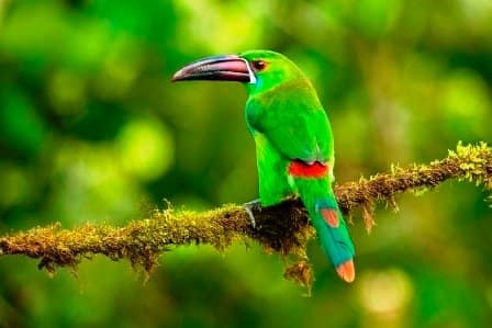 Sample Tours Image Mindo