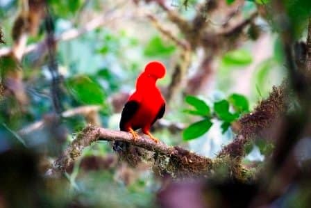 Sample Tours Image Mindo