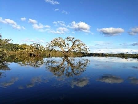 Sample Tours Image Amazon Low