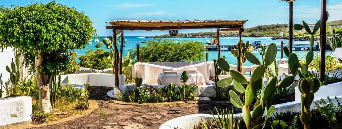 Casa Opuntia beach view