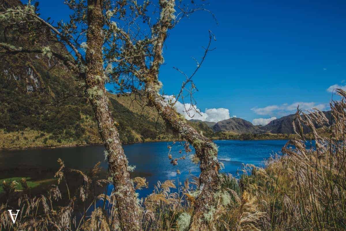 Excursion-Papallacta:
