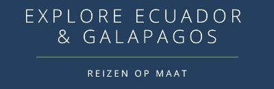 Logo NL