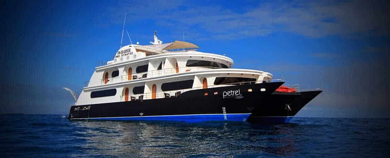 Galapagos-boat-Petrel