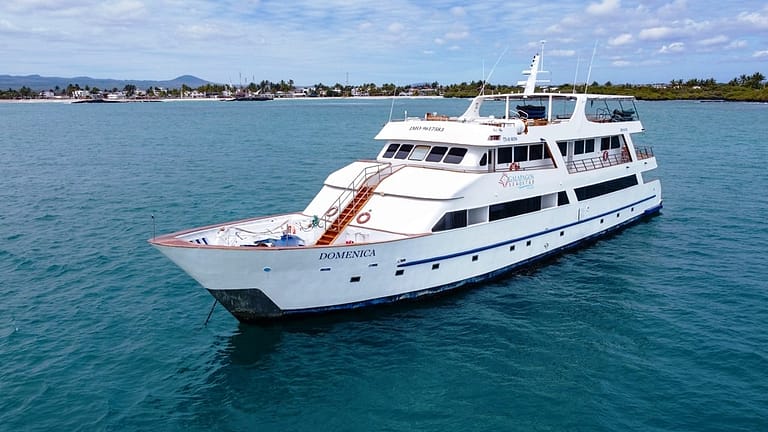 Galapagos-boat-Seastar